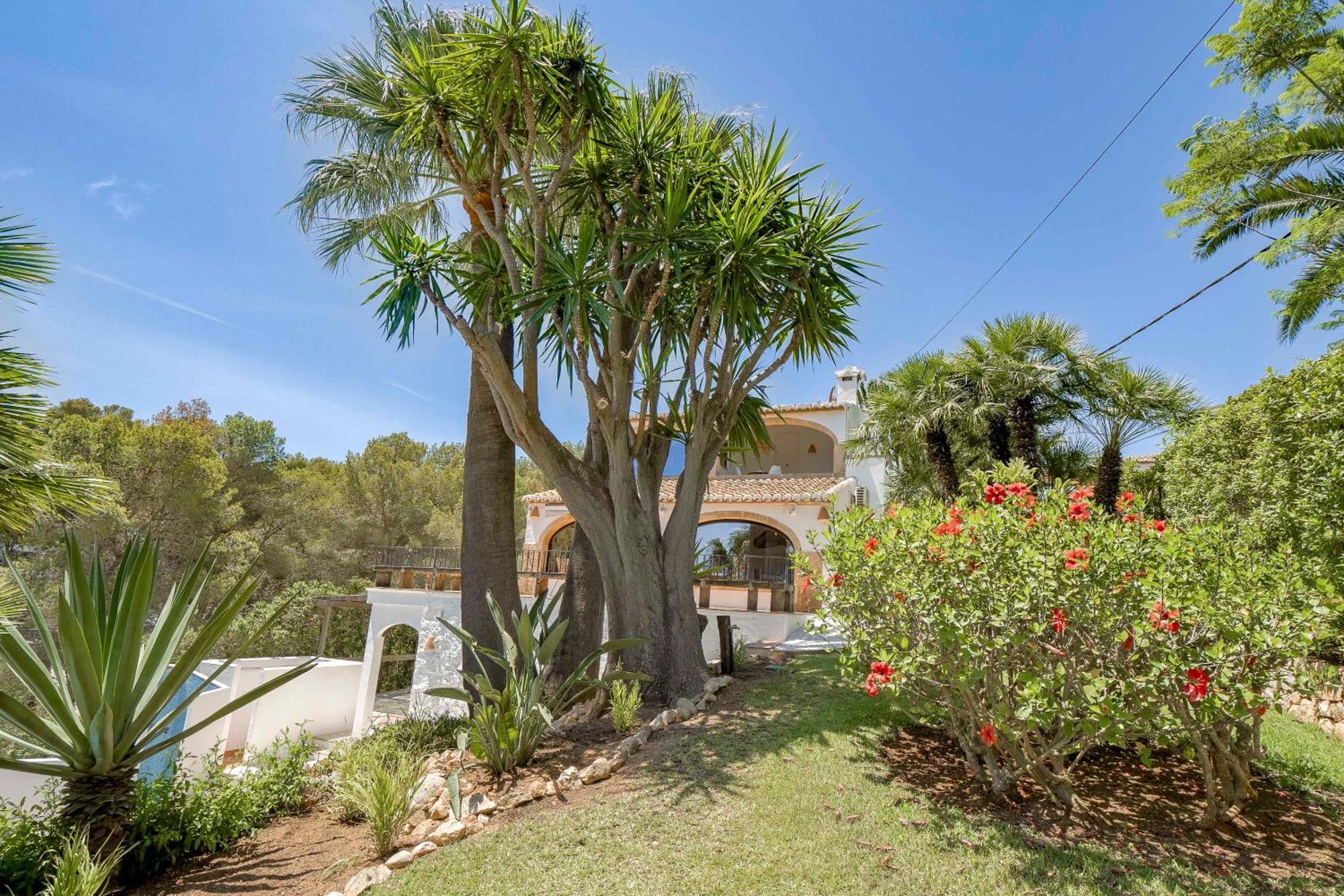 Jávea Villa Tosalet Pomelo מראה חיצוני תמונה